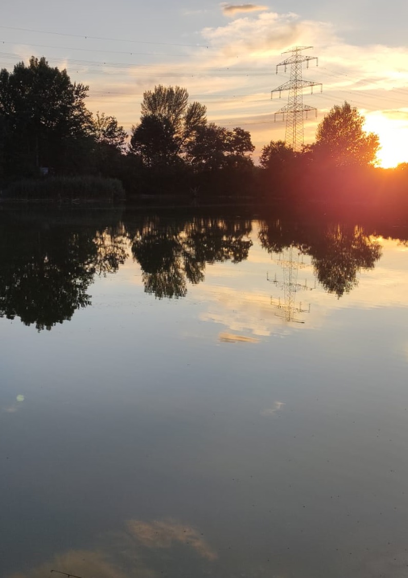 Teich_02